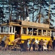 „Budapešto pasakojimai“, 1977