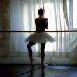 „La Danse: Paryžiaus Operos baletas“, 1999