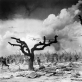 „Sparnai“ („Wings“, rež. William A. Wellman, Harry d'Abbadie d'Arrast, 1927)